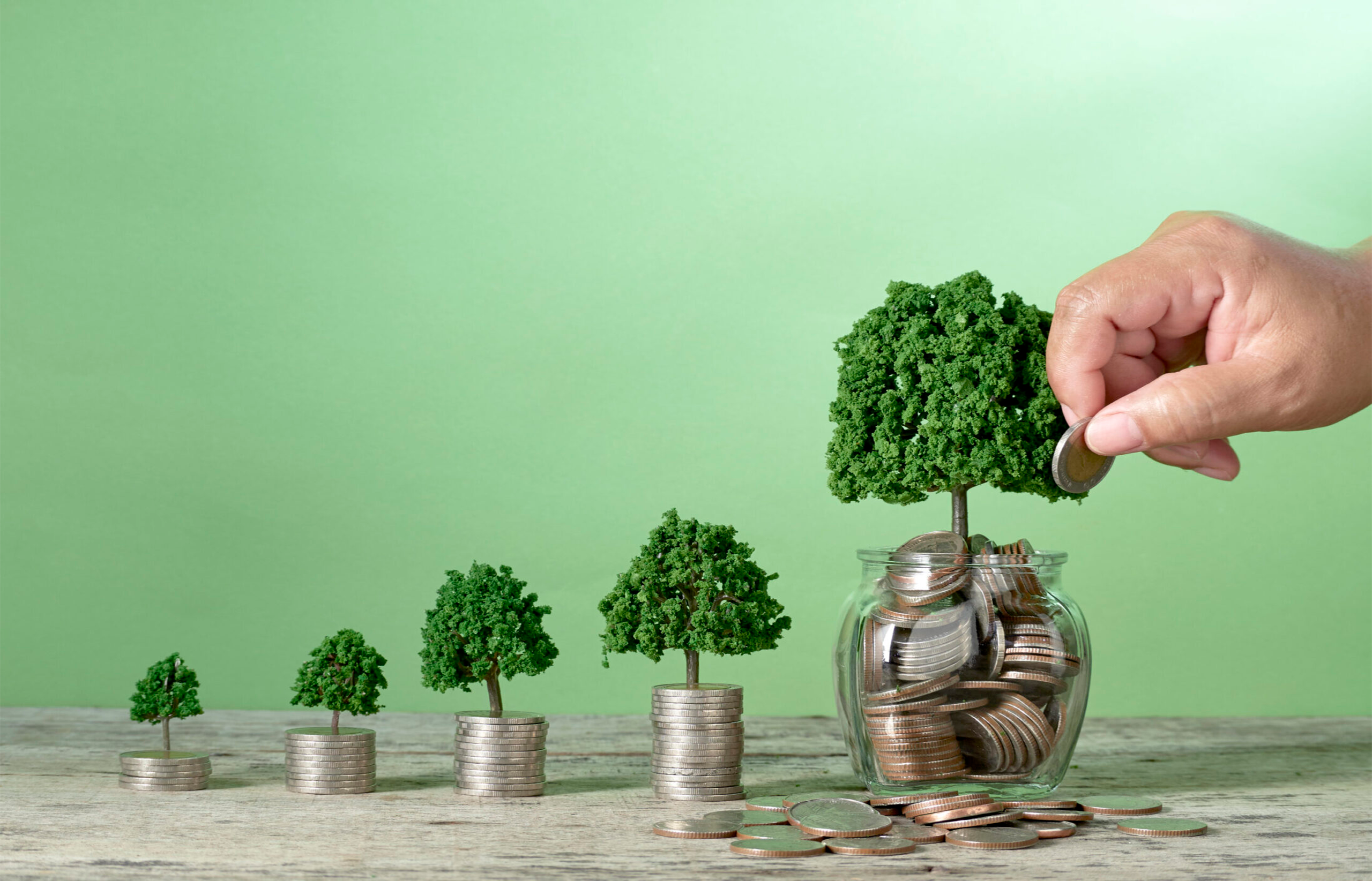 Mutual Funds Demystified: Your Path to Wealth